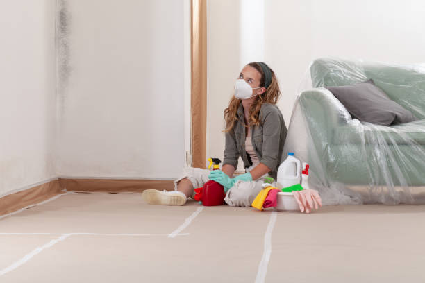 Reliable Mold Remediation contractor in Safety Harbor, FL by 24 Hour Mold Removal